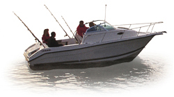 Century 2100 Dual Console Semi-Custom Boat Covers