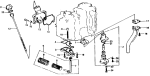 Oil Pump/Oil Filter/Exhaust Pipe Oil Pump/Oil Filter/Exhaust Pipe
