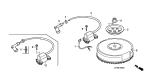 Flywheel/Ignition Coil Flywheel/Ignition Coil