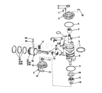 Crankshaft & Piston