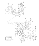 Carburetor & Manifold