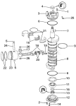 Crankshaft & Piston Crankshaft & Piston