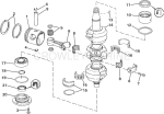 Crankshaft & Piston Crankshaft & Piston