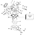 Carburetor - All 55 Models