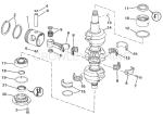Crankshaft & Piston Crankshaft & Piston