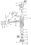 Crankshaft & Piston Crankshaft & Piston