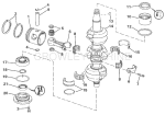 Crankshaft & Piston Crankshaft & Piston
