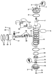Crankshaft & Piston Crankshaft & Piston