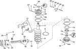 Crankshaft & Piston Crankshaft & Piston