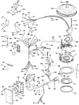 Ignition System - Electric Start Tl Models