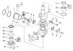Crankshaft & Piston Crankshaft & Piston