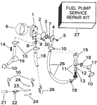 Fuel Pump & Filter Fuel Pump & Filter