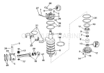 Crankshaft & Piston