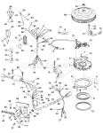 Ignition System - 25 Electric Start And Tl Models Only