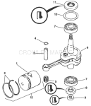 Crankshaft & Piston