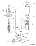Starter Motor & Solenoid Starter Motor & Solenoid