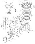 Ignition System Ignition System