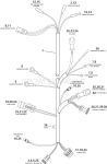Engine Electrical Harness Assembly Engine Electrical Harness Assembly