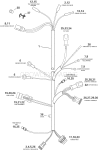 Engine Electrical Harness Assembly Engine Electrical Harness Assembly