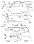 Cable Assembly Group