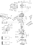 Carburetor & Fuel Pump