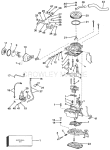 Carburetor & Fuel Pump