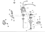 Distributor & Ignition Coil Distributor & Ignition Coil