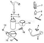 Ignition Coil And Leads