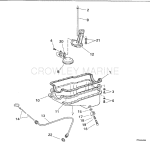 Oil Pan & Oil Pump Oil Pan & Oil Pump