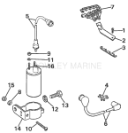 Ignition Coil & Leads