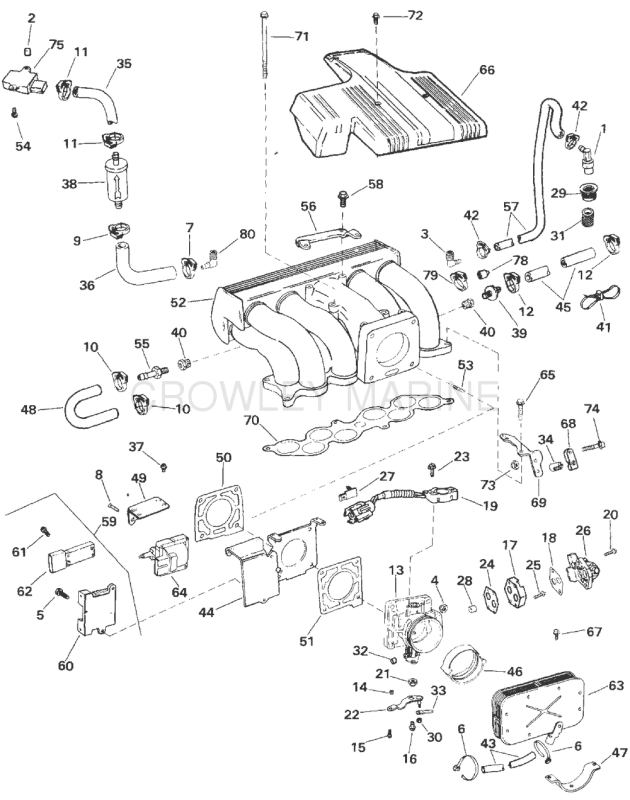 Upper Intake Manifold - 5.0 Litre Models