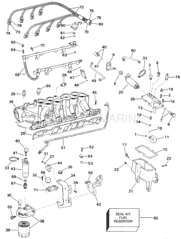 Fuel System & Lower Intake Manifold