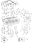Fuel System & Lower Intake Manifold Fuel System & Lower Intake Manifold