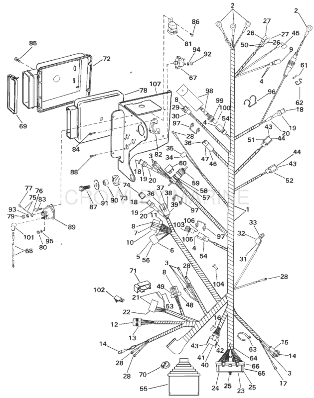 Engine Wire Harness & Bracket