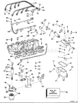 Fuel System & Lower Intake Manifold