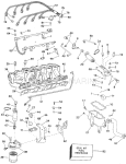 Fuel System & Lower Intake Manifold