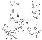 Ignition Coil & Leads Ignition Coil & Leads