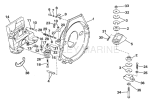 Transom Plate, Flywheel Housing & Mounts