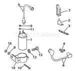 Ignition Coil & Leads