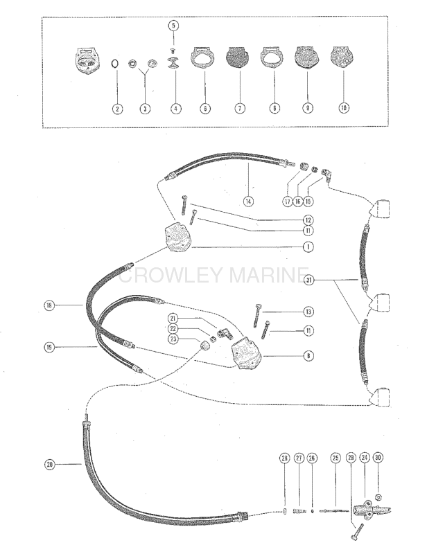 Fuel Pump And Fuel Line Assembly image