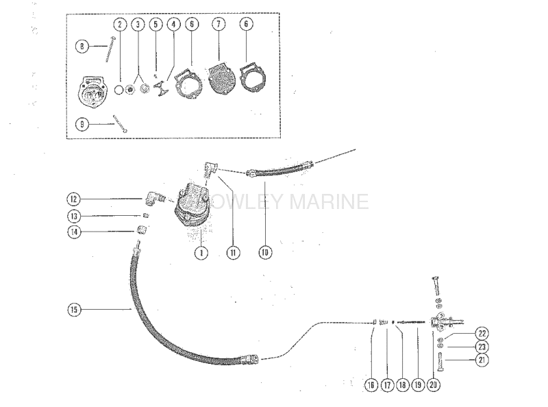 Fuel Pump And Fuel Line Assembly image