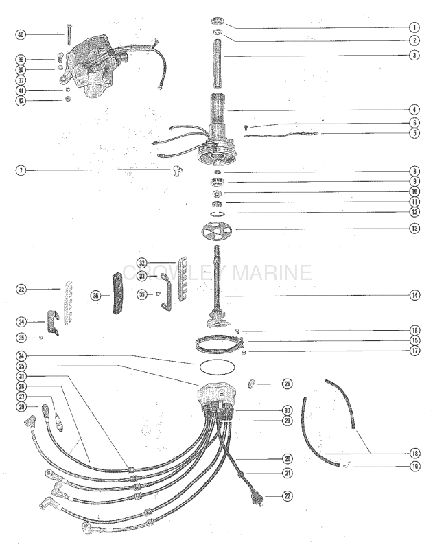 Distributor Housing And Rotor image