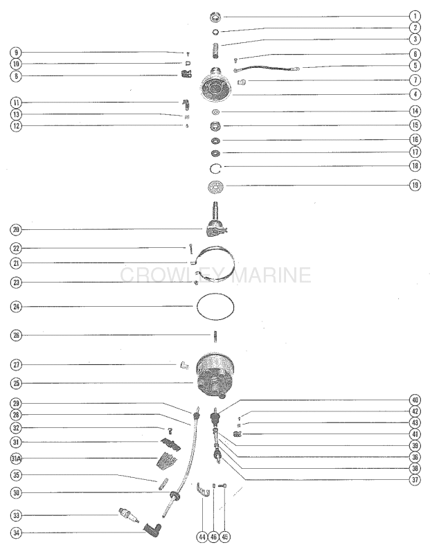 Distributor Housing And Rotor image