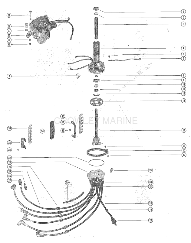 Distributor Housing And Rotor image