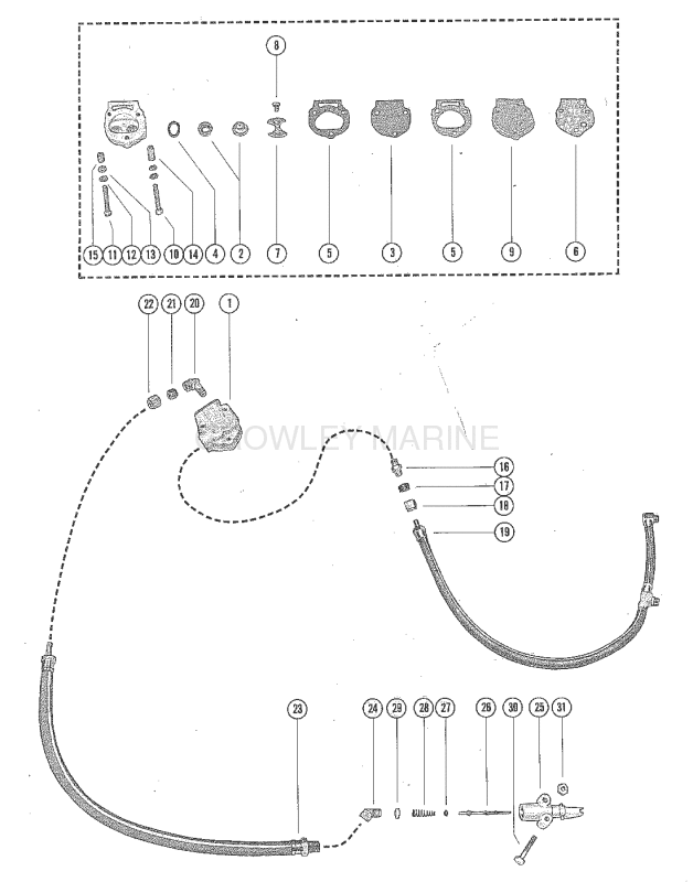 Fuel Pump Assembly image