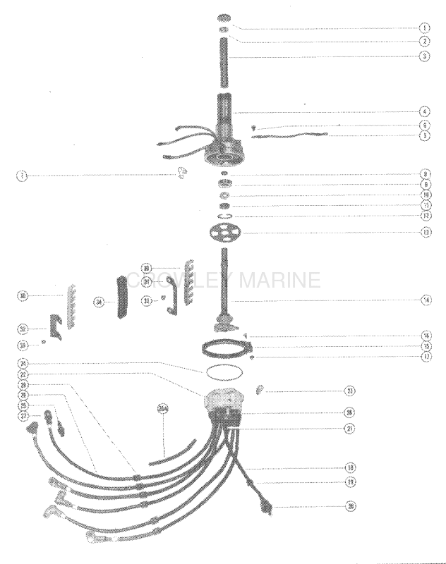 Distributor Housing And Rotor image