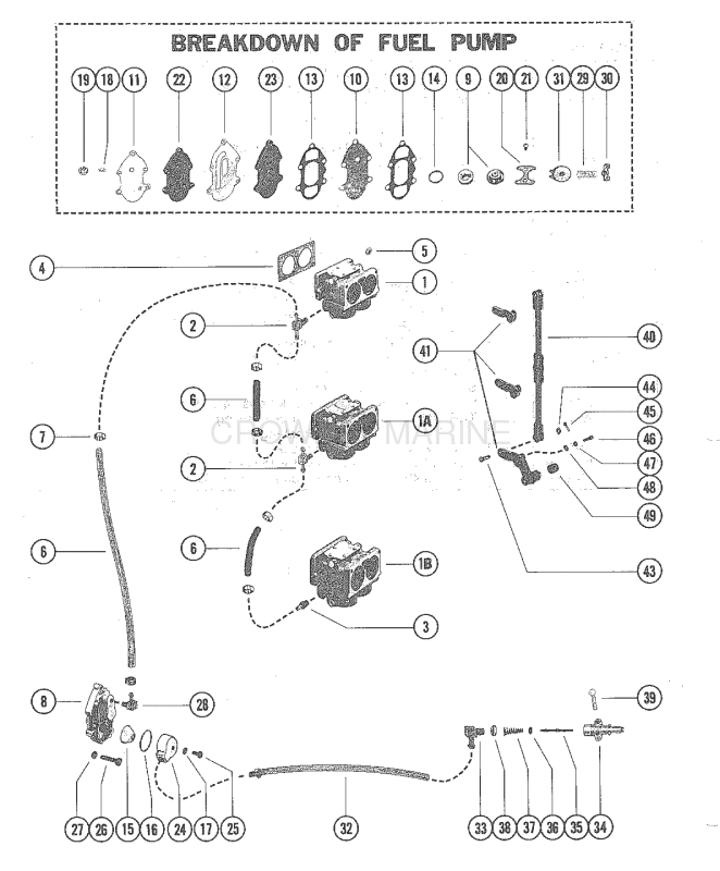 Fuel Pump And Carburetor image