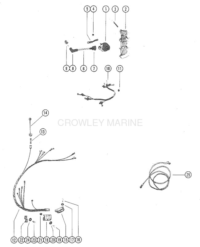 Wiring Harness And Ignition Coil image