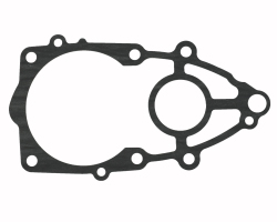 Gasket, Water Pump 18-0406 - Sierra