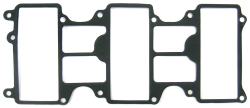 Gasket, Manifold 18-99055 - Sierra